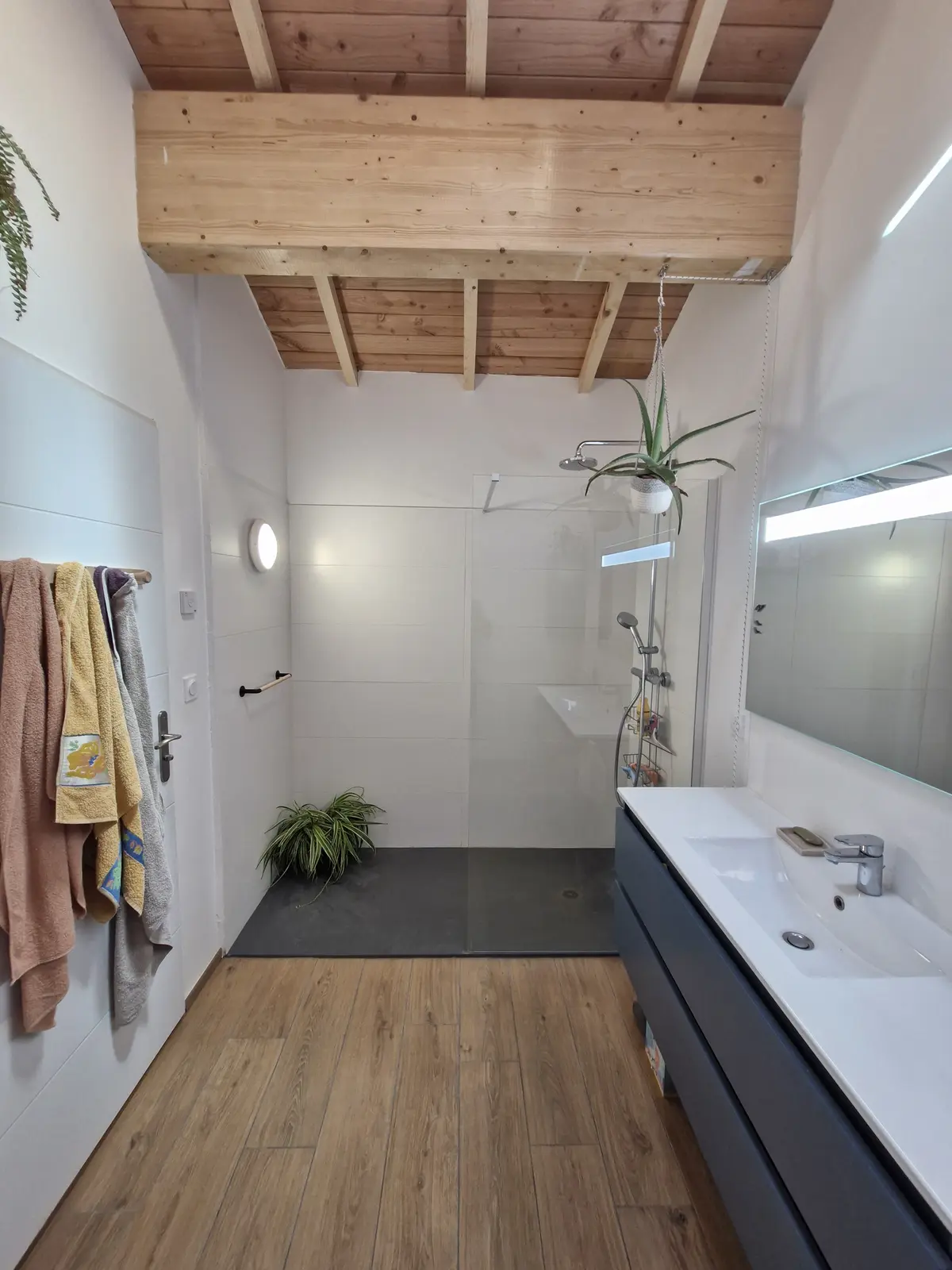 Salle de bains avec douche, vasque et robinetterie